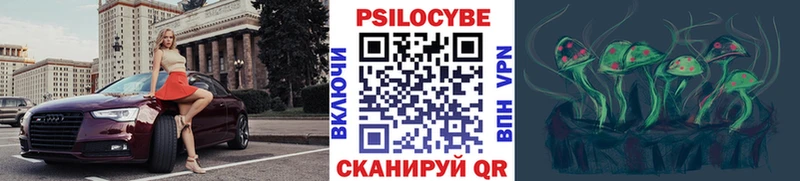 Галлюциногенные грибы Psilocybe Стародуб